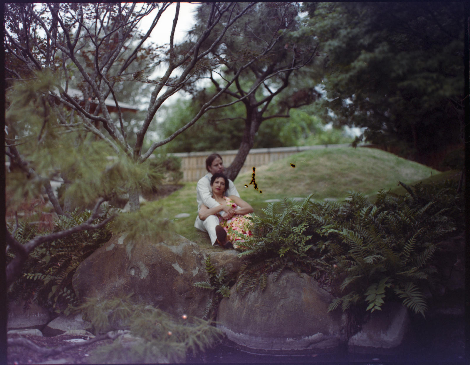 medium-format-14.jpg