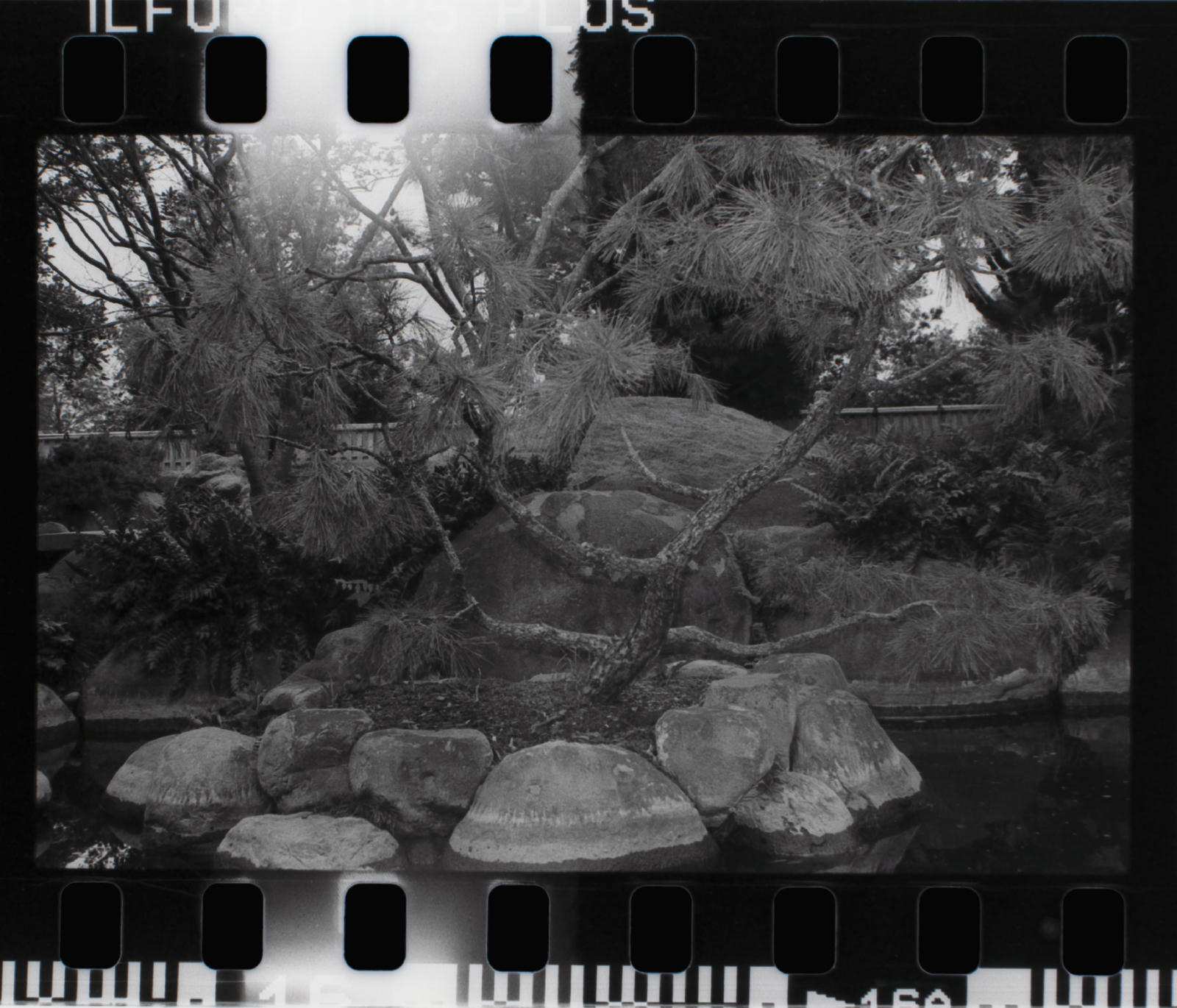 small-format-01.jpg