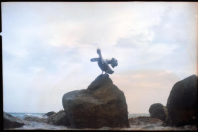 aruba-7.jpg