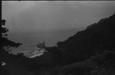 cali-37.jpg