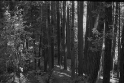 cali-59.jpg