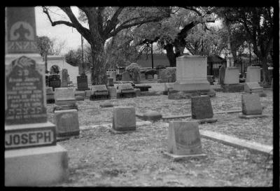 infared-like-5.jpg