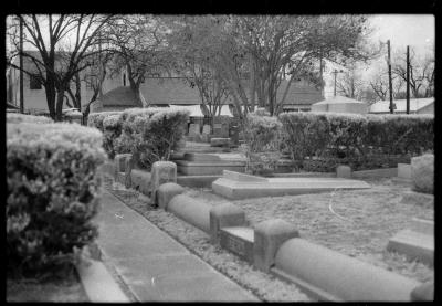 infared-like-6.jpg