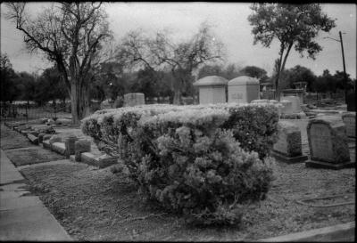 infared-03.jpg