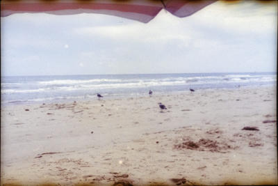 beach-game-guin-30.jpg