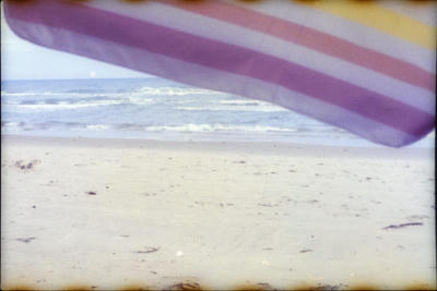 beach-game-guin-33.jpg