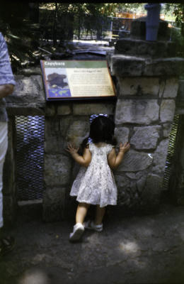 zoo-4thJuly-14.jpg