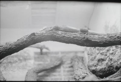 zoo-camp-10.jpg