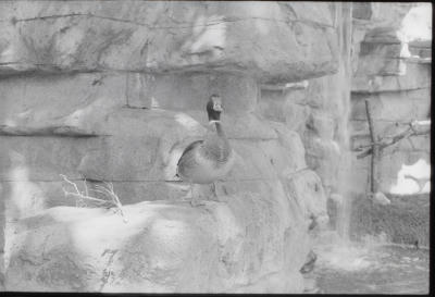 zoo-camp-13.jpg